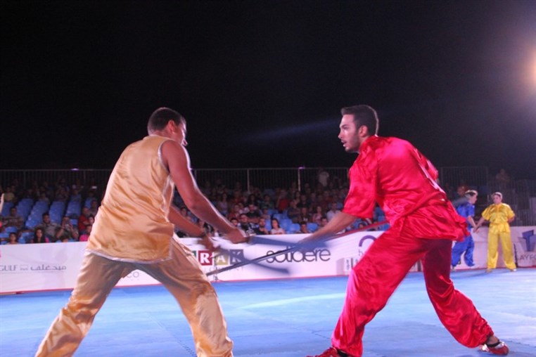 Martial Arts Festival